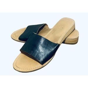 Coconuts Cabana Slides